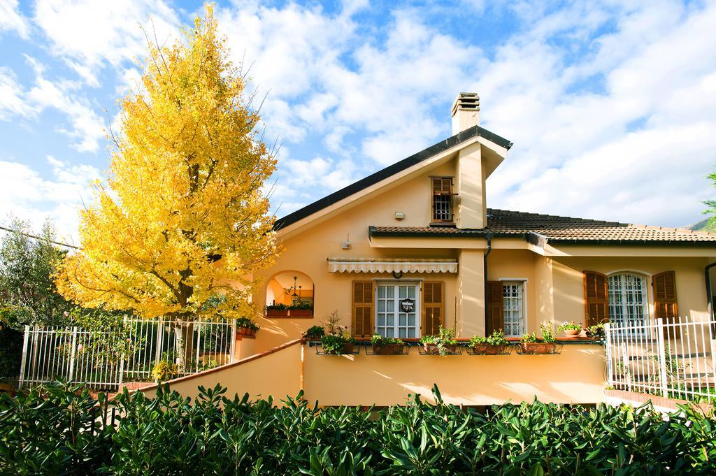 L'Albero Della Vita Bed and Breakfast Ceriale Exteriör bild